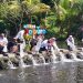 Program Sekardadu Banyuwangi Sasar Area Wisata Pemandian