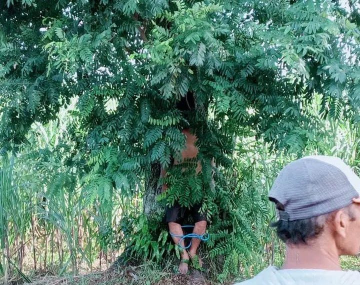 Patroli di Perkebunan, Satpam Temukan Jenasah Gantung Diri