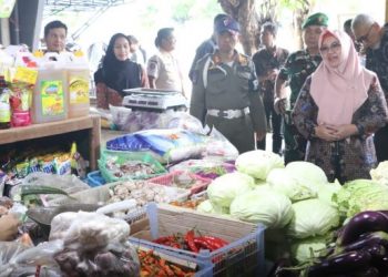 Sidak Kebutuhan Pokok, Wabup Gresik Pastikan Stabilitas Pasokan dan Harga Pangan Aman Selama Ramadan