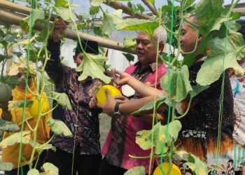 Nawa Karsa Gresik Agropolitan Sukses Tingkatkan Produktivitas dan Ketahanan Pangan
