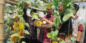 Nawa Karsa Gresik Agropolitan Sukses Tingkatkan Produktivitas dan Ketahanan Pangan