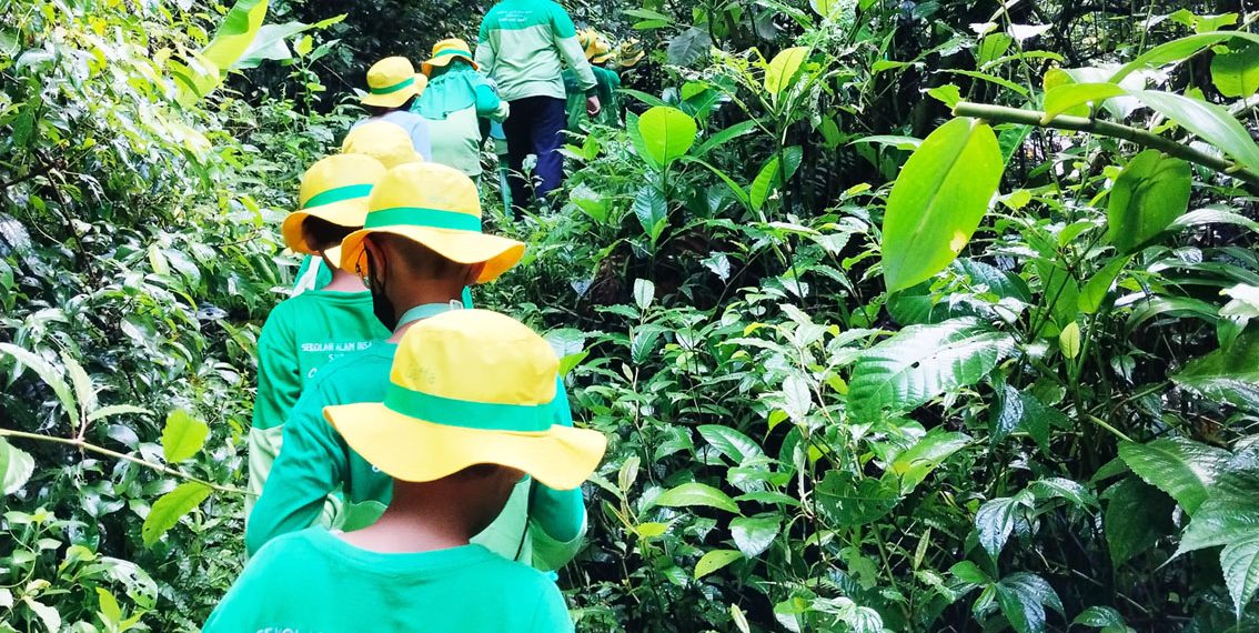 Masuk Hutan, Belajar Seribu Ilmu