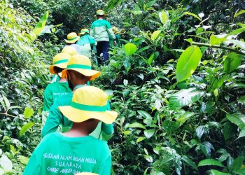 Masuk Hutan, Belajar Seribu Ilmu