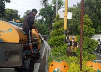 Jaga Keindahan Banyuwangi, Dinas PU CKPP Rutinkan Pemeliharaan Taman Jalur Hijau