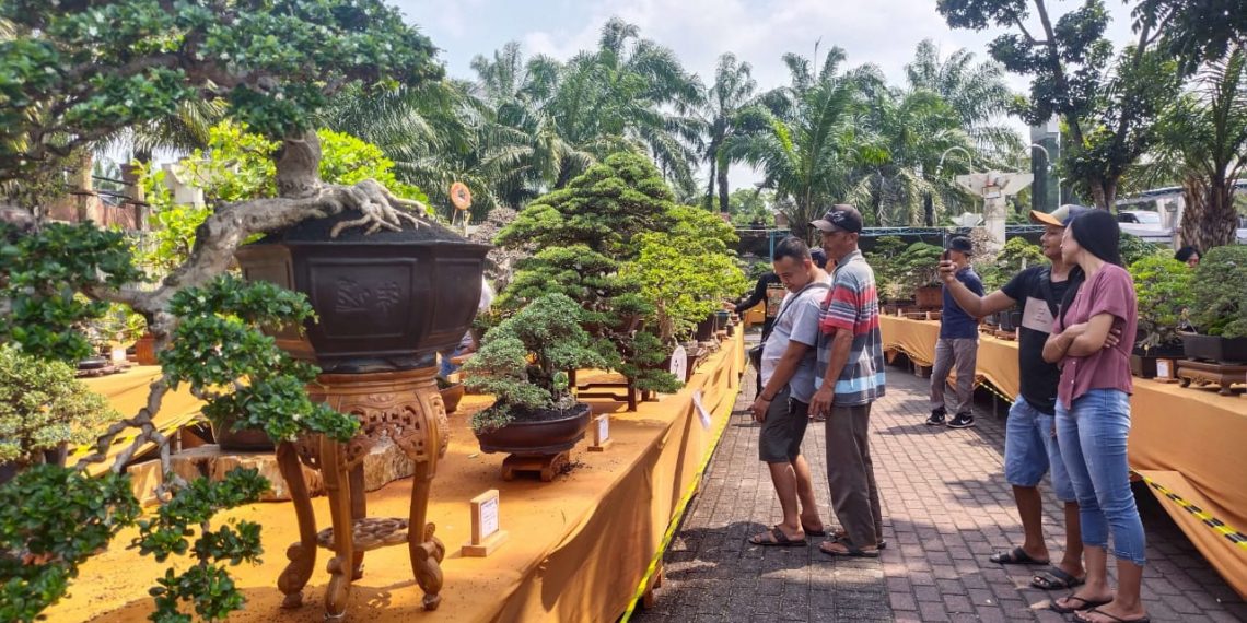 Kontes Bonsai Jadi Daya Tarik Wisatawan di Kediri