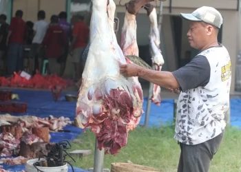 DKPP Kabupaten Kediri Periksa Kondisi Hewan Qurban Untuk Cek Kesehatan