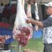 DKPP Kabupaten Kediri Periksa Kondisi Hewan Qurban Untuk Cek Kesehatan