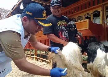 Ketua DPRD Banyuwangi Pesan Soal Pemeriksaan Hewan Jelang Idul Adha