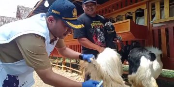 Ketua DPRD Banyuwangi Pesan Soal Pemeriksaan Hewan Jelang Idul Adha
