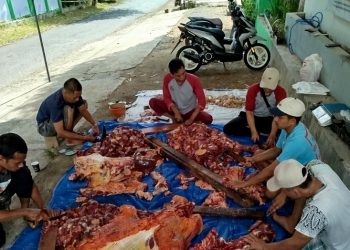 Klinik dr Didik Sulasmono Sembelih Hewan Qurban, Berharap Istiqomah Tiap Idul Adha