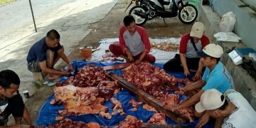 Klinik dr Didik Sulasmono Sembelih Hewan Qurban, Berharap Istiqomah Tiap Idul Adha