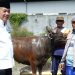 Makna Momen Idul Adha oleh Wakil Ketua DPRD Banyuwangi Bikin Terharu