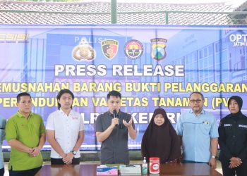 Jual Beli Bibit Palsu, Kerugian Mencapai Rp 2 Miliar