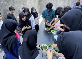 Mengolah Eceng Gondok Jadi Sabun