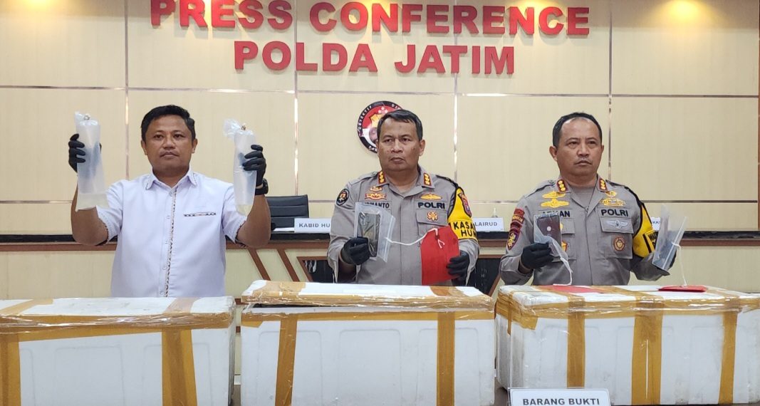 Ditpolairud Polda Jatim Bongkar  Transaksi Lobster Ilegal