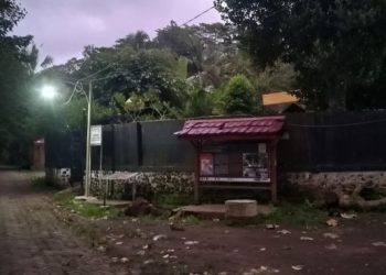 Di Banyuwangi, Bertahun-tahun Situs Macan Putih Tak Terawat