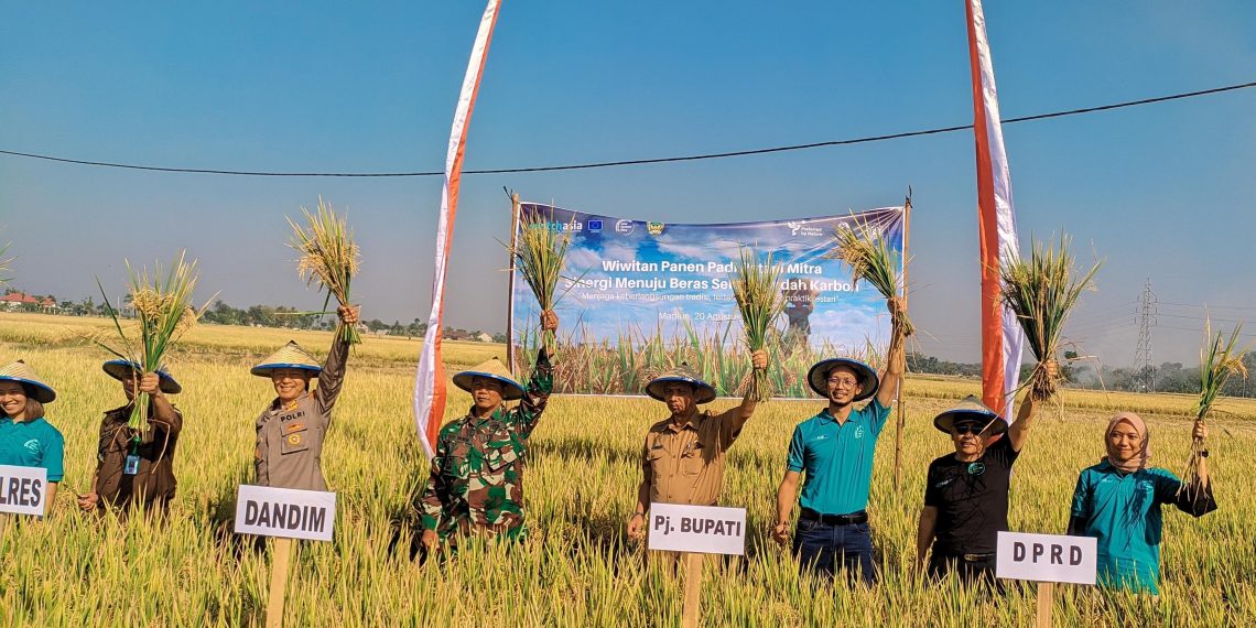 Panen Raya Padi Sehat di Madiun, Kolaborasi Petani Lokal dan Uni Eropa Hadirkan Inovasi Pertanian Berkelanjutan