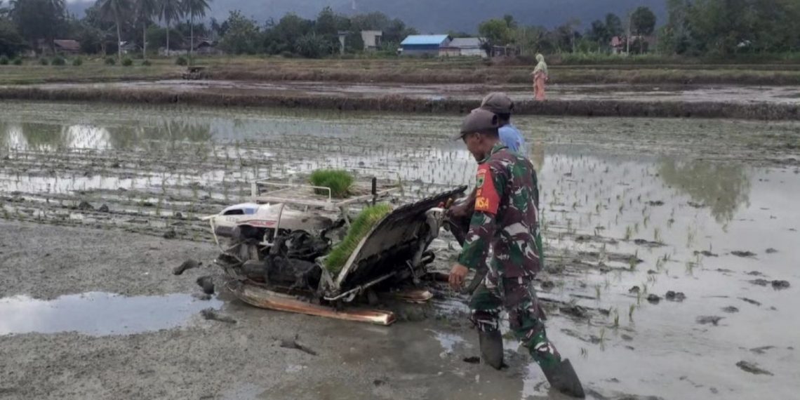 Harga Pupuk Terus Meroket, Anggota DPRD Banyuwangi Ingatkan Petani Seperti Ini