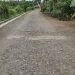 Memprihatinkan, Bertahun-tahun Jalan di Dusun Krajan, Cluring Belum Tersentuh Perbaikan