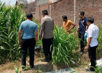 Mayat Kakek Berusia 79 Tahun Tergeletak di Persawahan, Ini Kata Polisi