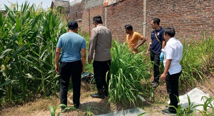 Mayat Kakek Berusia 79 Tahun Tergeletak di Persawahan, Ini Kata Polisi