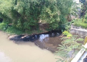 Limbah Hitam Pekat Cemari Lingkungan, Pihak Pabrik Tak Dapat Dikonfirmasi
