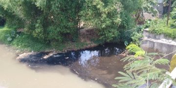 Limbah Hitam Pekat Cemari Lingkungan, Pihak Pabrik Tak Dapat Dikonfirmasi