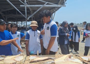 Kunjungi Pabrik Olah Ikan, Belajar Industri Pangan