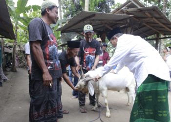 Ratusan Peternak Ingin Gus Makki Jadi Bupati Banyuwangi, Janji Nambah Puskeswan