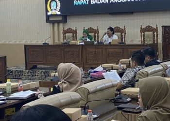 Punya Ide dan Rumusan Strategis Tentang Dewan, Begini Kata Wakil Ketua DPRD Banyuwangi
