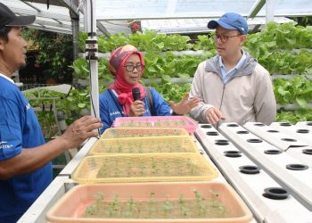 Kampung Berseri Astra Pekayon Bekasi Buktikan Komitmen Kewaspadaan terhadap Perubahan Iklim