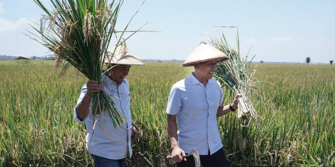Wahono-Nurul Dorong Pertumbuhan Ekonomi Lewat Program Hilirisasi Produk Pertanian