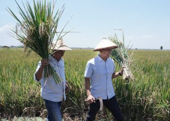 Wahono-Nurul Dorong Pertumbuhan Ekonomi Lewat Program Hilirisasi Produk Pertanian