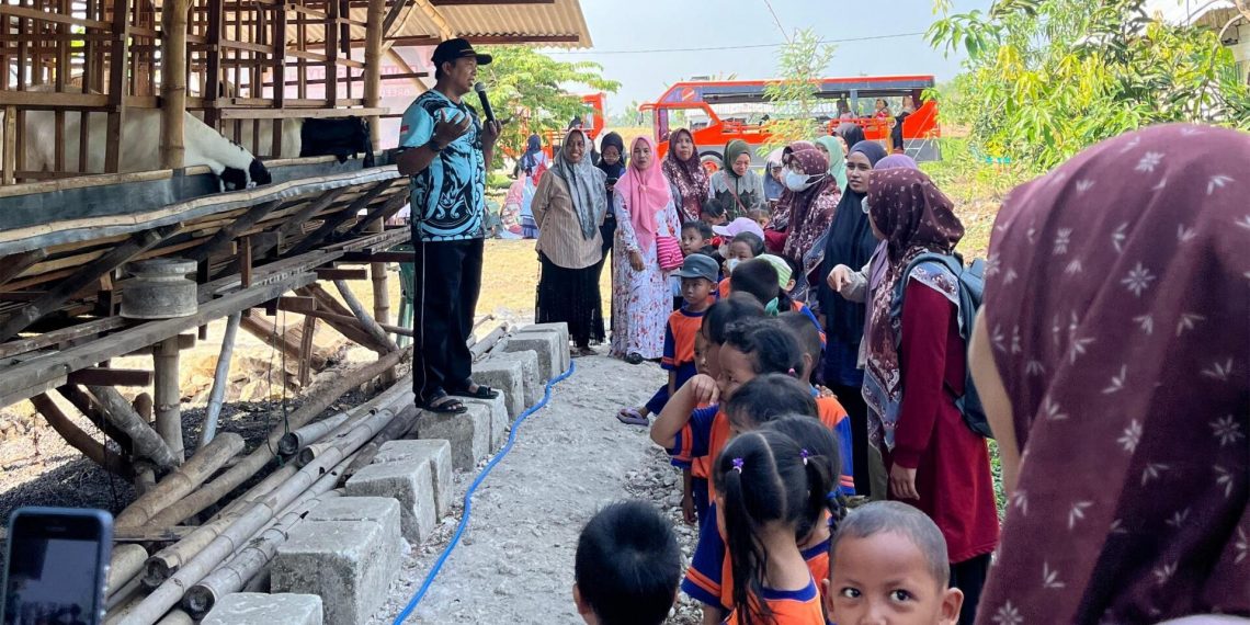 Inspiratif, Kepala Madrasah Khusnun Amri Sukses Beternak Kambing