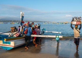 Langkah Nyata BRI Menuju Ekonomi Hijau, Portofolio Pembiayaan Berkelanjutan Capai Rp 764,8 triliun