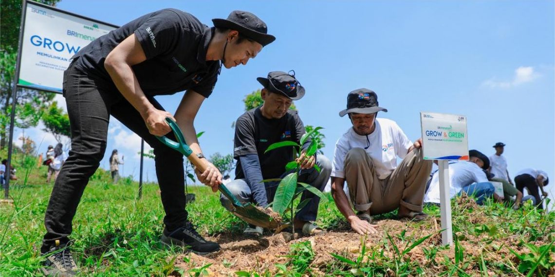 Pulihkan Hutan Bekas Tambang, Aksi Nyata Kelompok Tani Selamatkan Lingkungan bersama BRI Menanam-Grow & Green