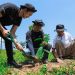Pulihkan Hutan Bekas Tambang, Aksi Nyata Kelompok Tani Selamatkan Lingkungan bersama BRI Menanam-Grow & Green