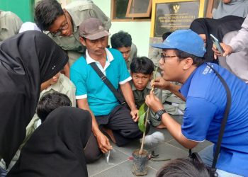 Dibimbing Praktisi Ahli, SMK Muhammadiyah 5 Gresik Lakukan Pembelajaran Grafting Pohon