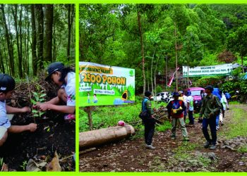 Menanam 2500 Pohon di Hutan Precet Toyomarto