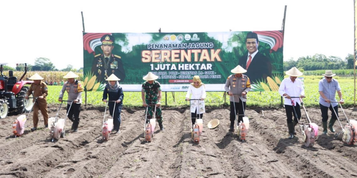 Sukseskan Program Ketahanan Pangan, Pemkab Kediri Siapkan Lahan Khusus untuk Jagung dan Padi