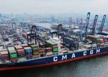 Selama 2024, Pelindo Terminal Petikemas Catat Arus Kontainer Tembus 12,48 Juta TEUs