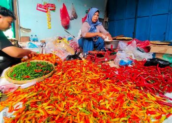 Di Kabupaten Kediri, Harga Cabai Berangsur Turun Usai Melejit di Natal dan Tahun Baru