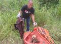 Geger, Warga Masangan Temukan Kerangka Manusia di Area Bukit Jamur Bungah