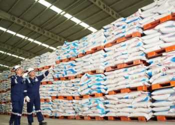 Januari 2025, Petrokimia Gresik Distribusikan Pupuk Bersubsidi, Siapkan Stok Lebih dari 372 Ribu Ton