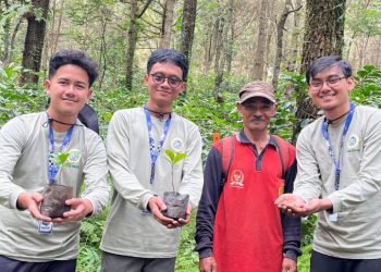 Eksplorasi Kopi Bontugu, dari Pemeliharaan Bibit Unggul hingga Inovasi Teh Daun Kopi