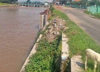 Dinas PU BMSDA Sidoarjo Salah Pilih Rekanan, Proyek Penahan Jalan Desa Kedung Bocok Tahun 2024 Mangkrak