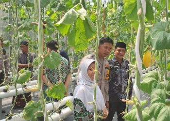 Siswa SMP Progresif Bumi Sholawat Sidoarjo Dibekali Ilmu Tentang Pertanian