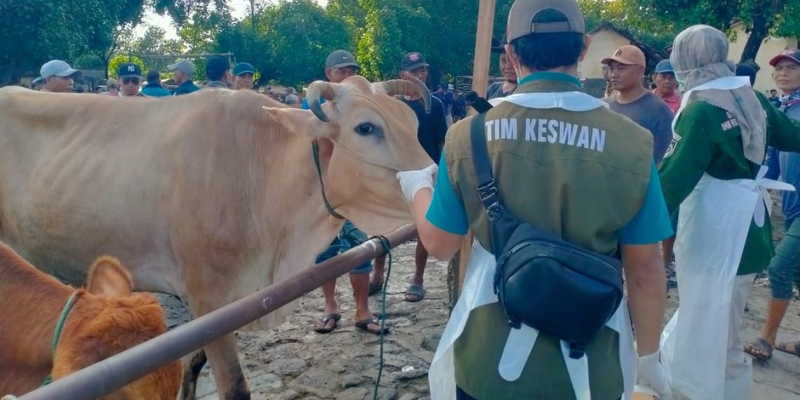 PMK di Kabupaten Kediri Kian Merajalela, DKPP: Stop Transaksi