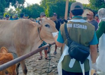 PMK di Kabupaten Kediri Kian Merajalela, DKPP: Stop Transaksi