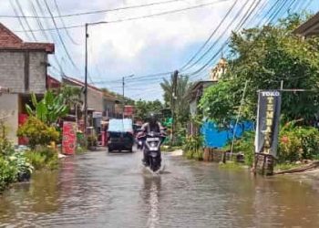 Curah Hujan Tinggi, Tiga Desa Di Kecamatan Porong Terendam Banjir